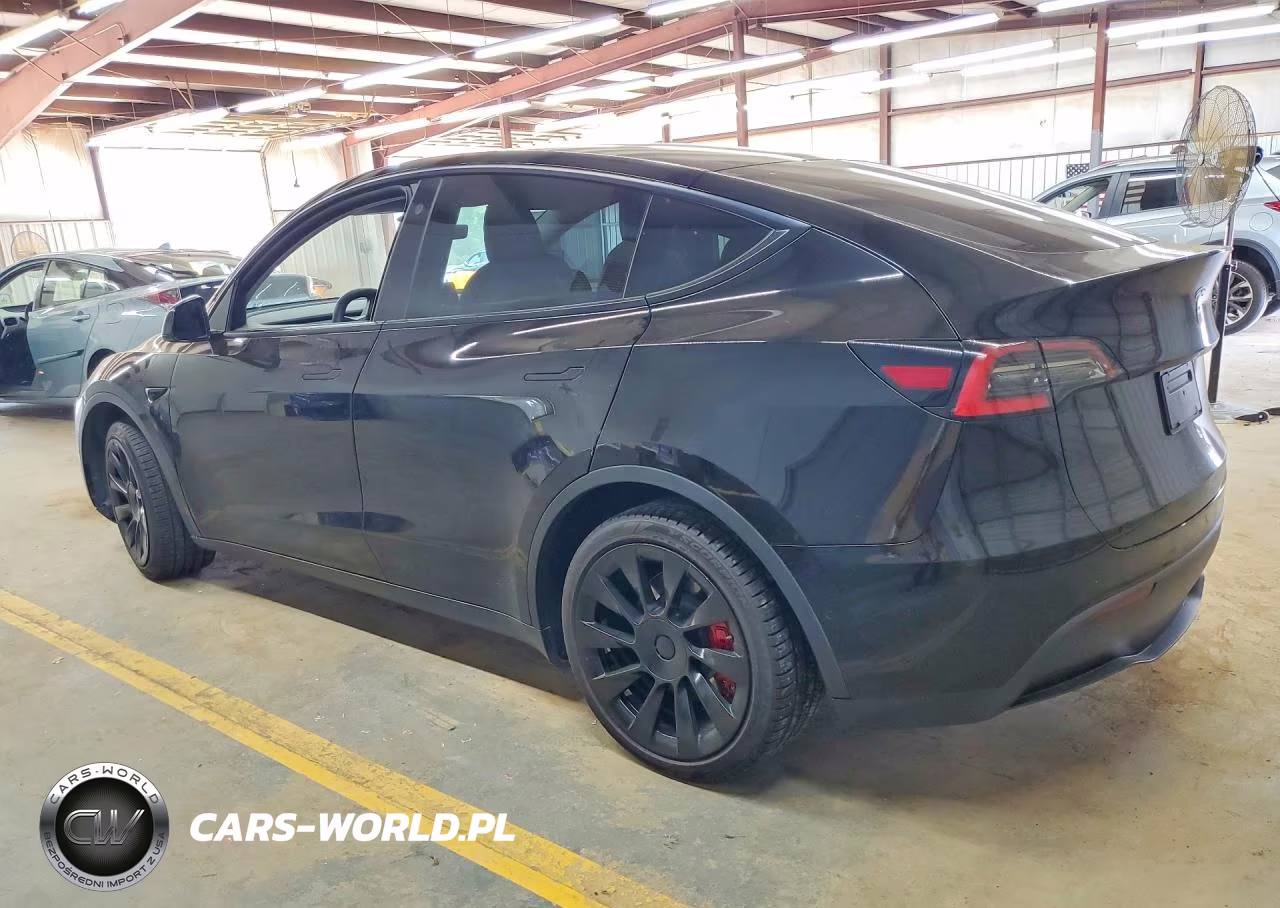 2021 Tesla Model Y VIN:5YJYGDEEXMF102696 - 2