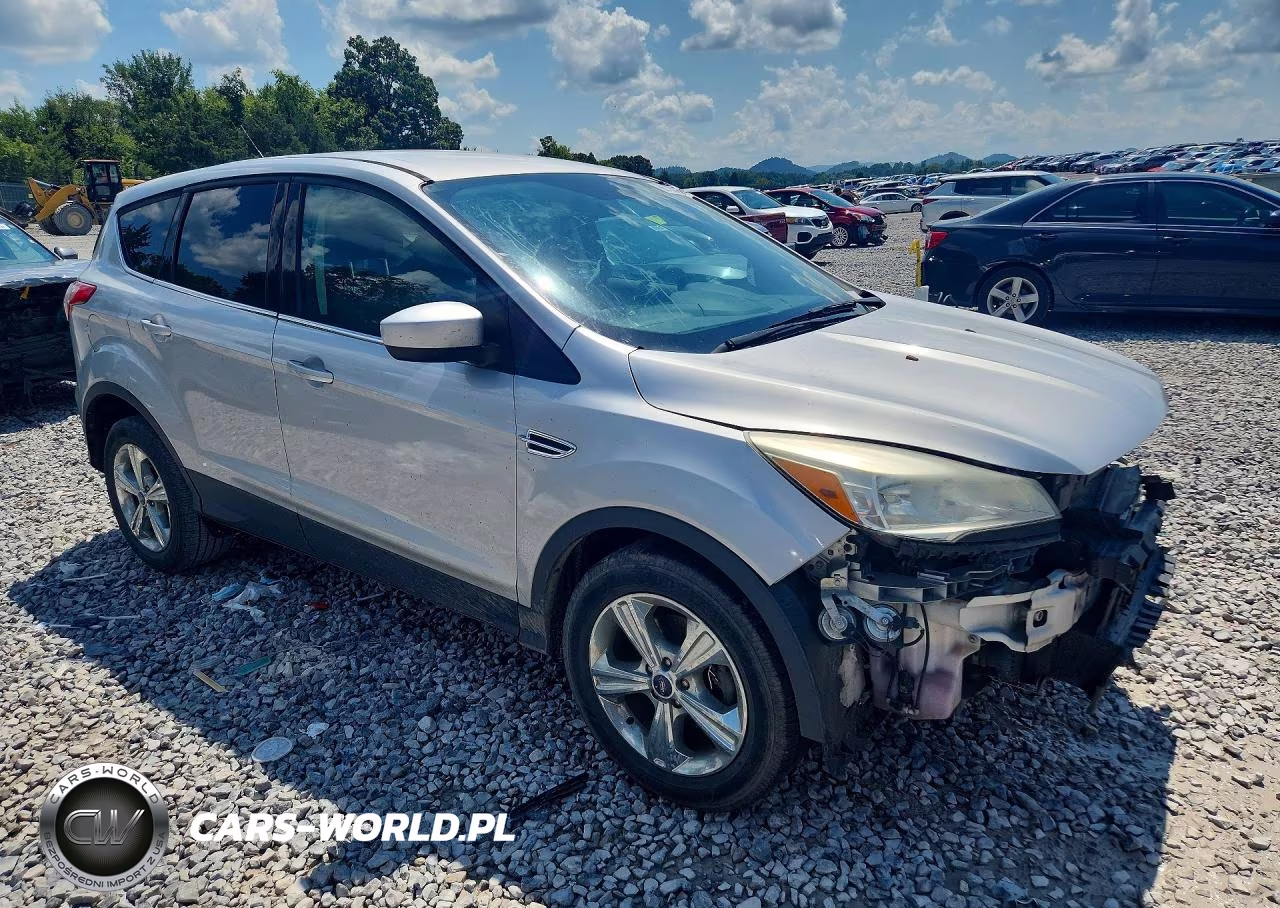 2014 Ford Escape Se VIN:1FMCU0GX6EUB71058 - 4
