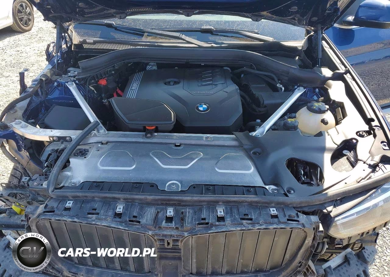 2023 BMW X3 xDrive30I VIN:5UX53DP08P9P34299 - 12