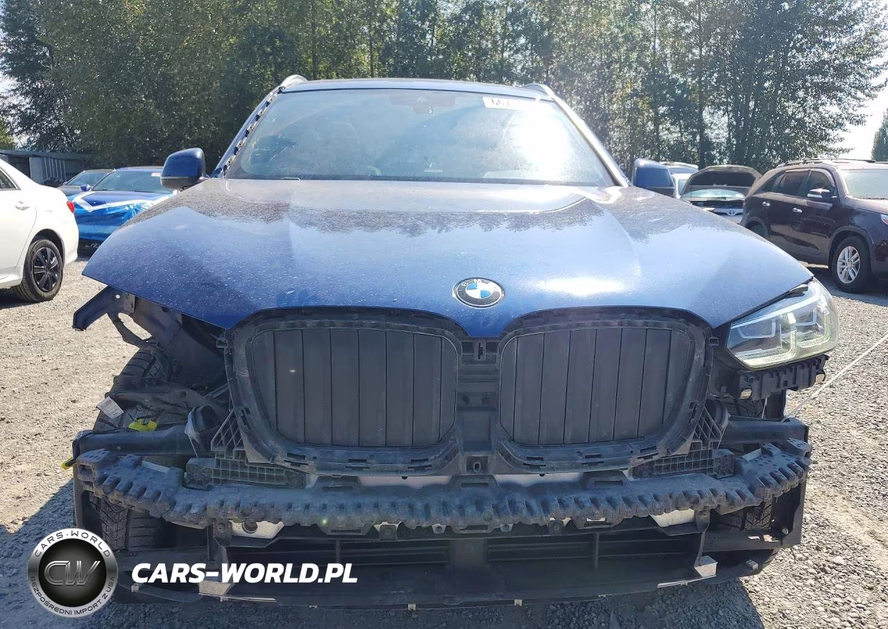 2023 BMW X3 xDrive30I VIN:5UX53DP08P9P34299 - 5