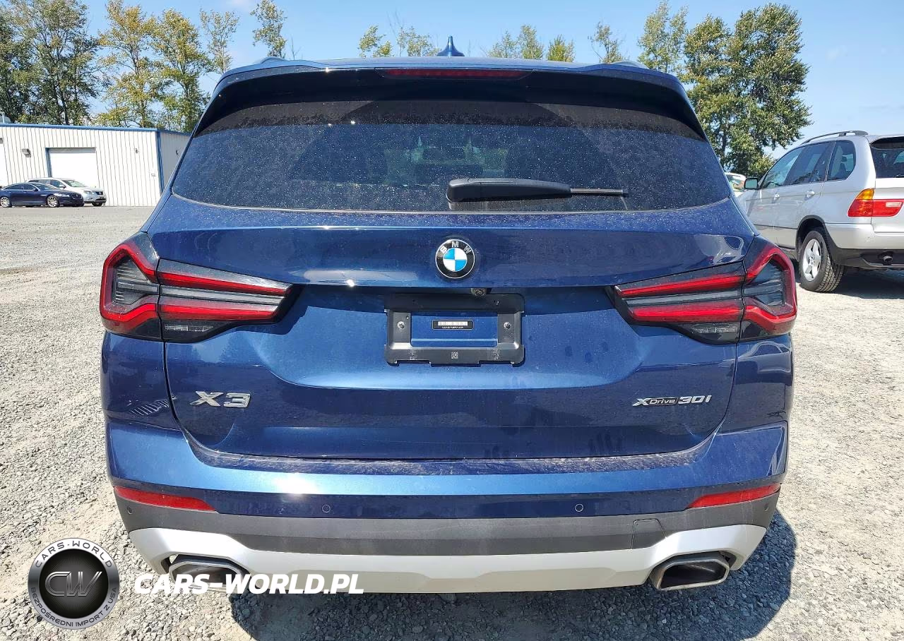 2023 BMW X3 xDrive30I VIN:5UX53DP08P9P34299 - 6