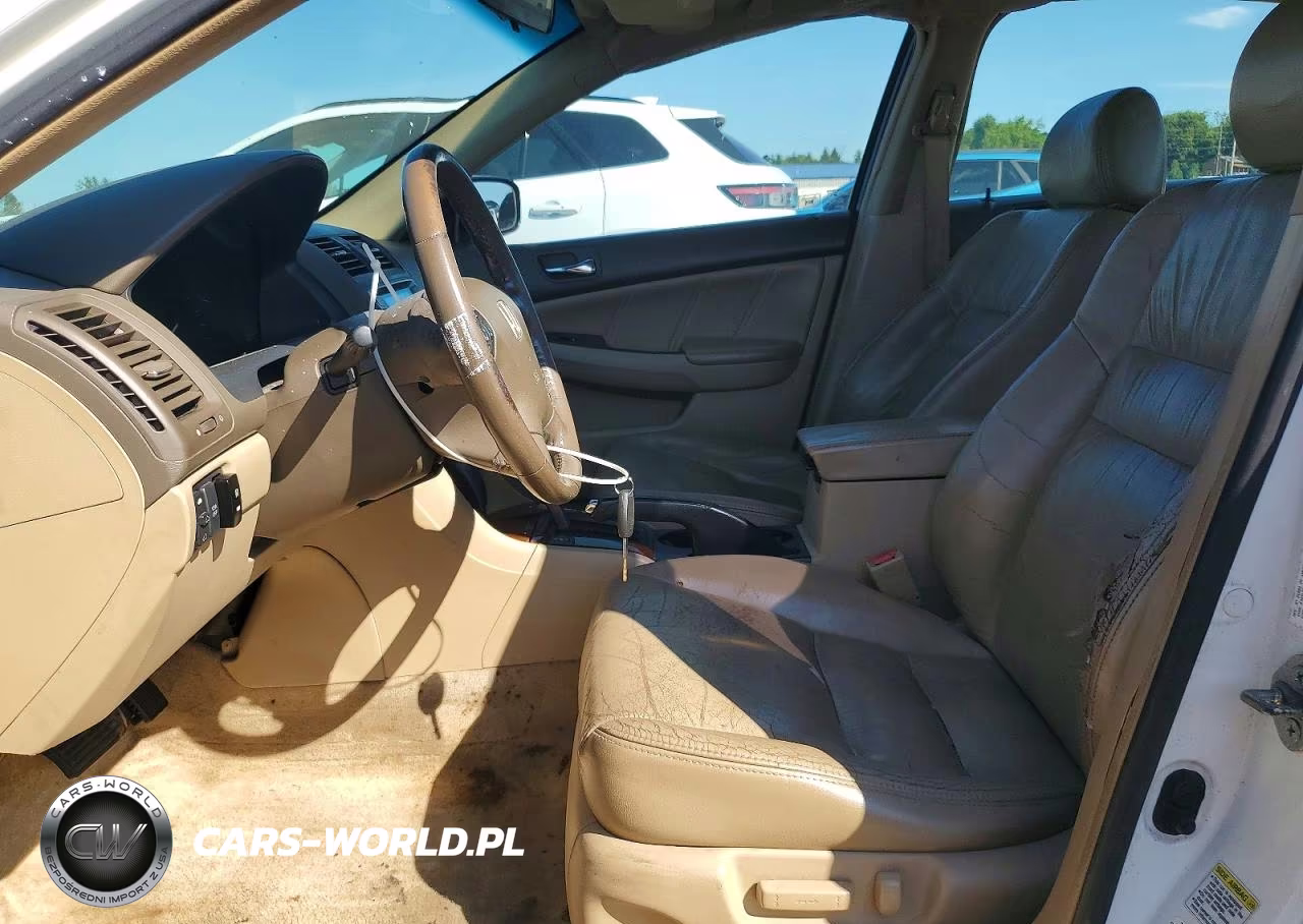 2006 Honda Accord Ex VIN:1HGCM66516A011746 - 7