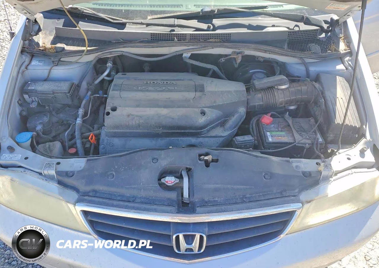 2004 Honda Odyssey Ex VIN:5FNRL18674B083401 - 12