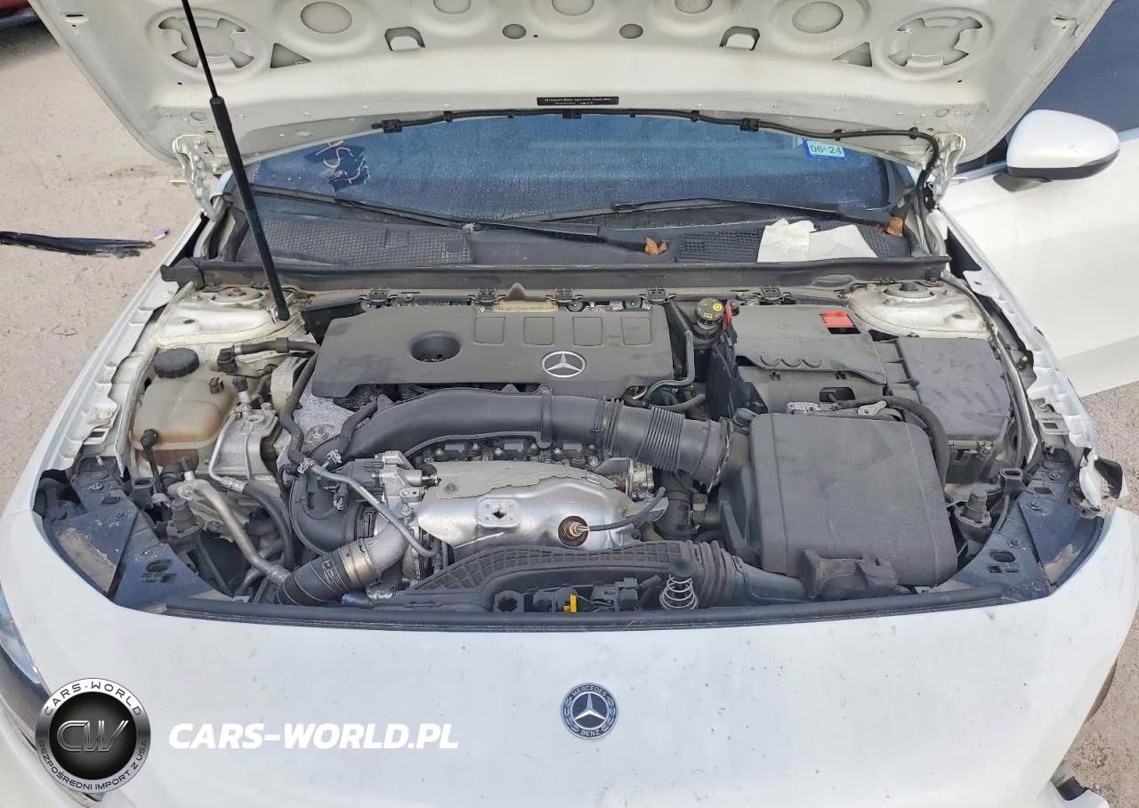 2019 Mercedes-Benz A 220 VIN:WDD3G4EBXKW000457 - 11