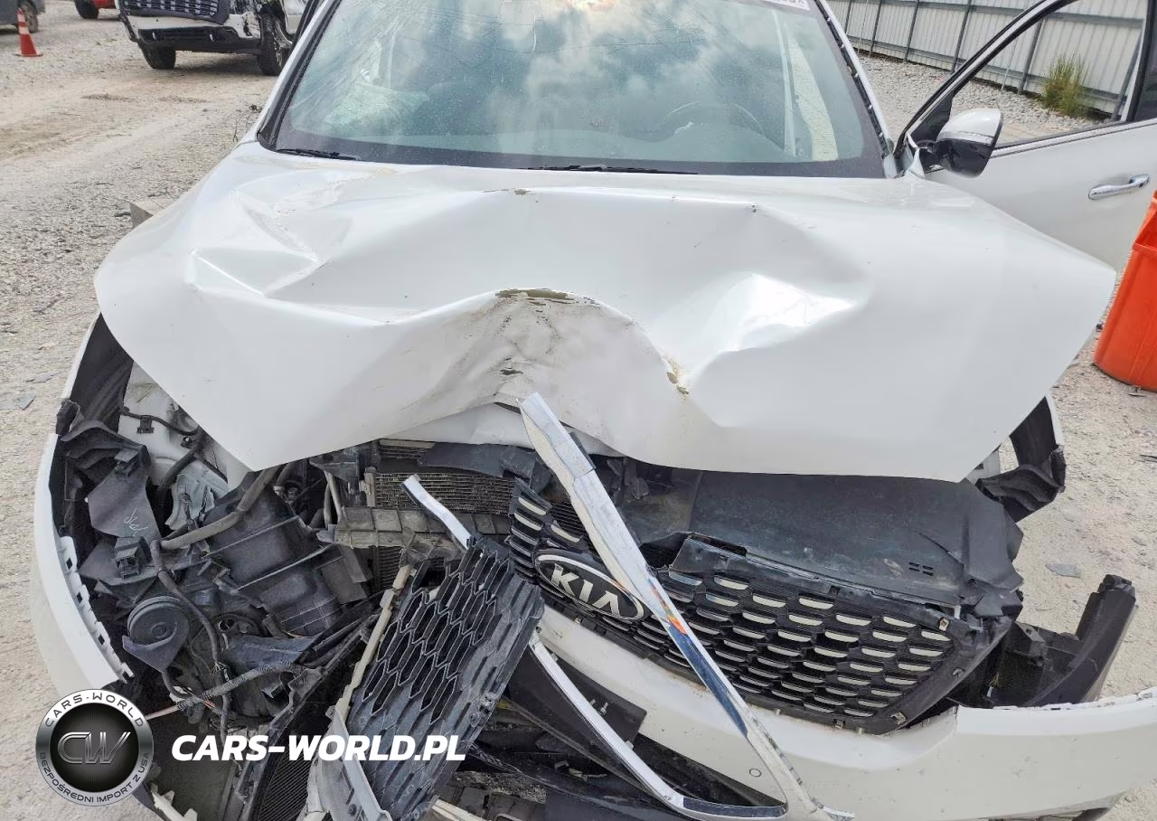 2019 Kia Sorento Sx Limited V6 VIN:5XYPKDA56KG509498 - 12