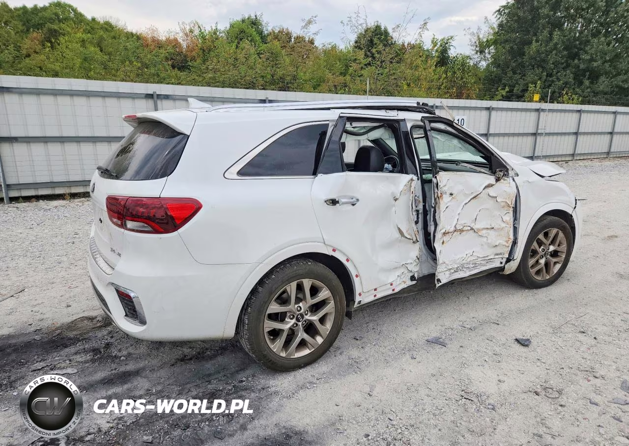 2019 Kia Sorento Sx Limited V6 VIN:5XYPKDA56KG509498 - 3