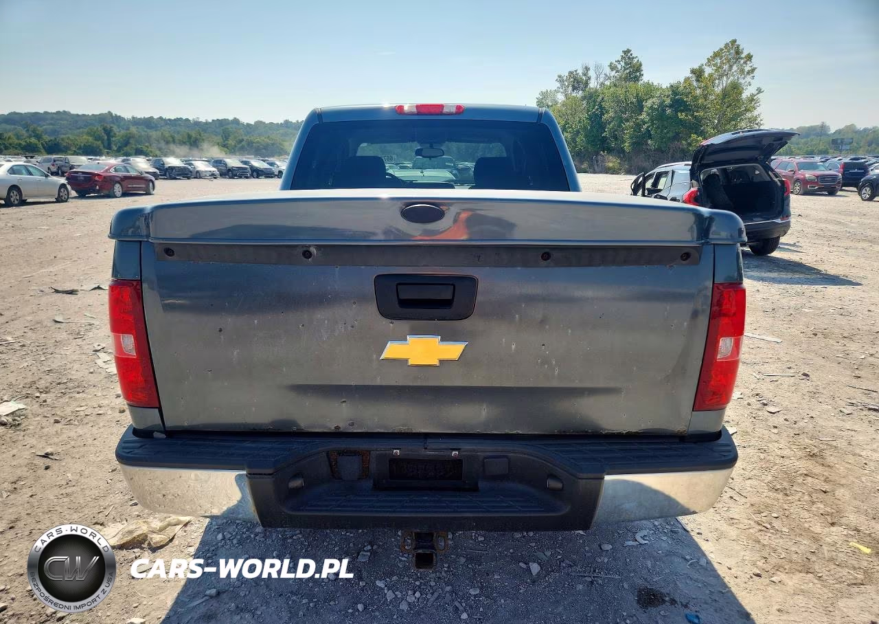 2010 Chevrolet Silverado K1500 Lt VIN:3GCRKSE39AG186408 - 6