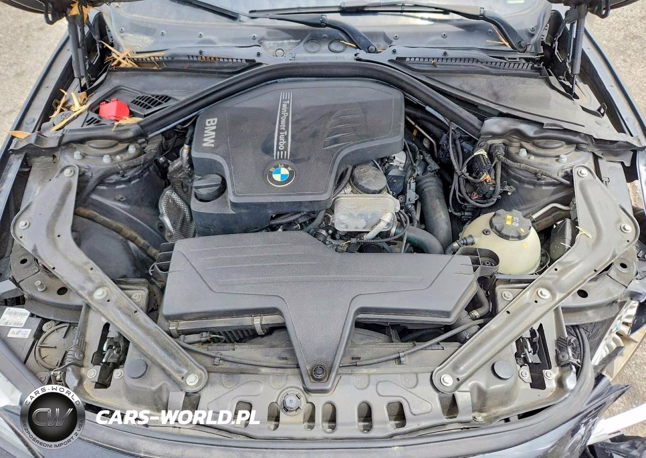 2016 BMW 428 I Sulev VIN:WBA3V7C51G5A25856 - 11