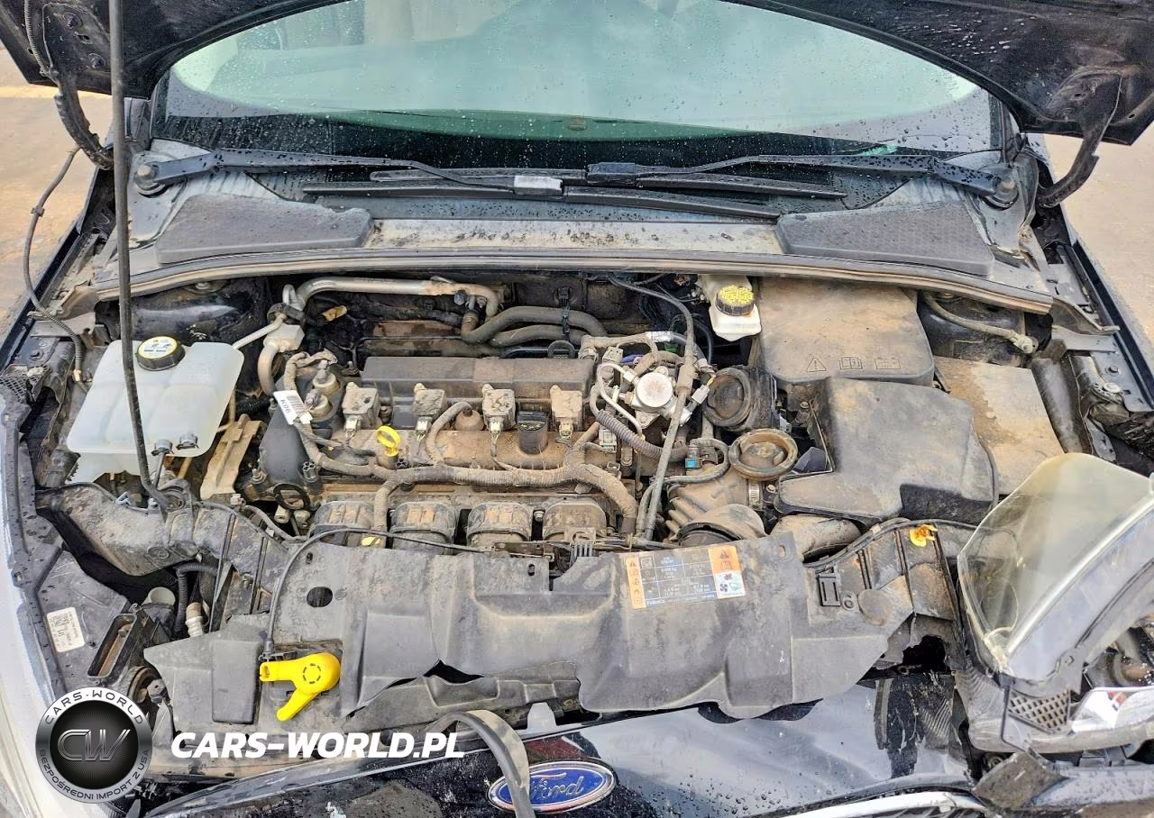 2018 Ford Focus Se VIN:1FADP3F28JL252981 - 11