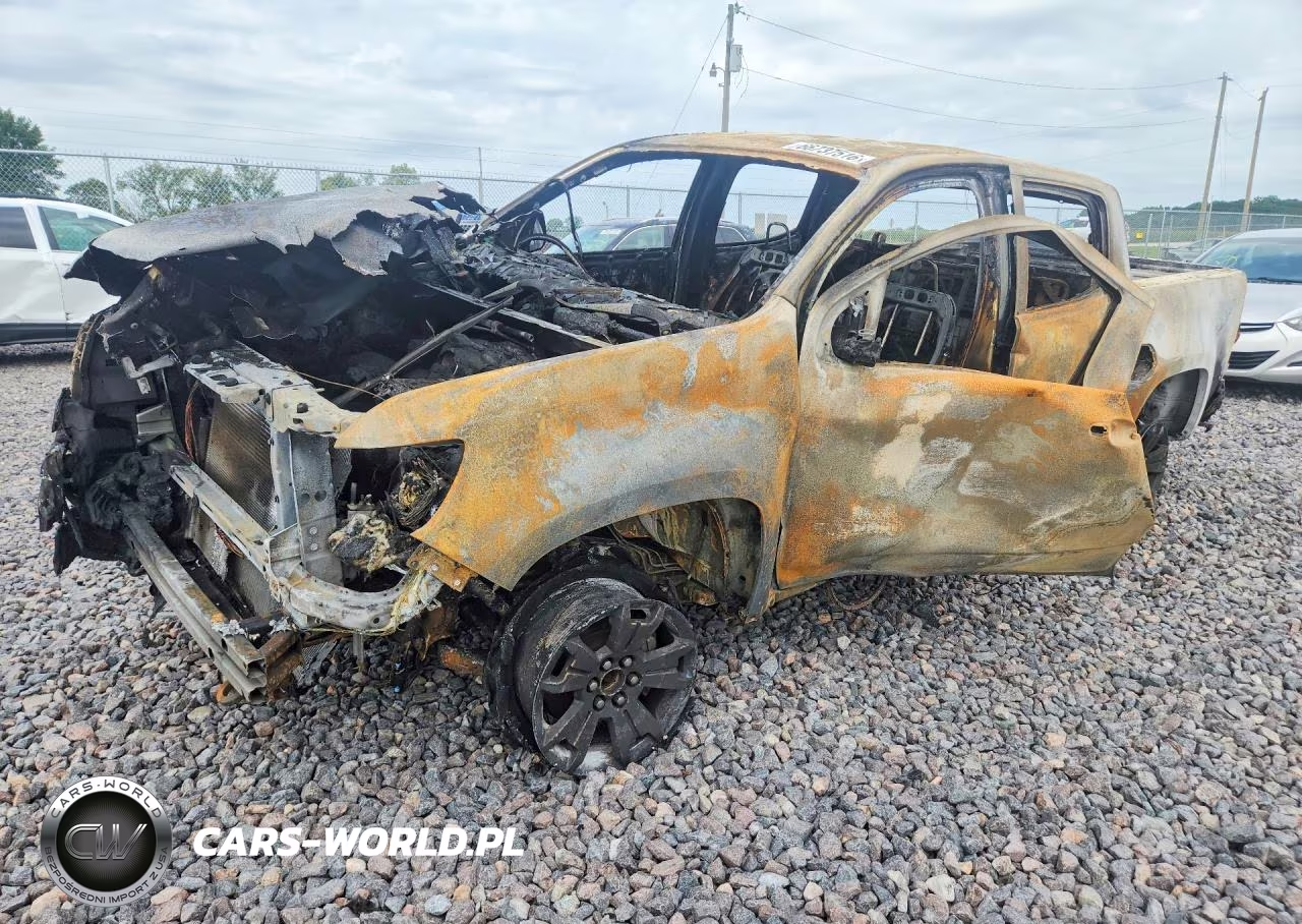 2019 Chevrolet Colorado Lt VIN:1GCGTCEN8K1301866 - 1