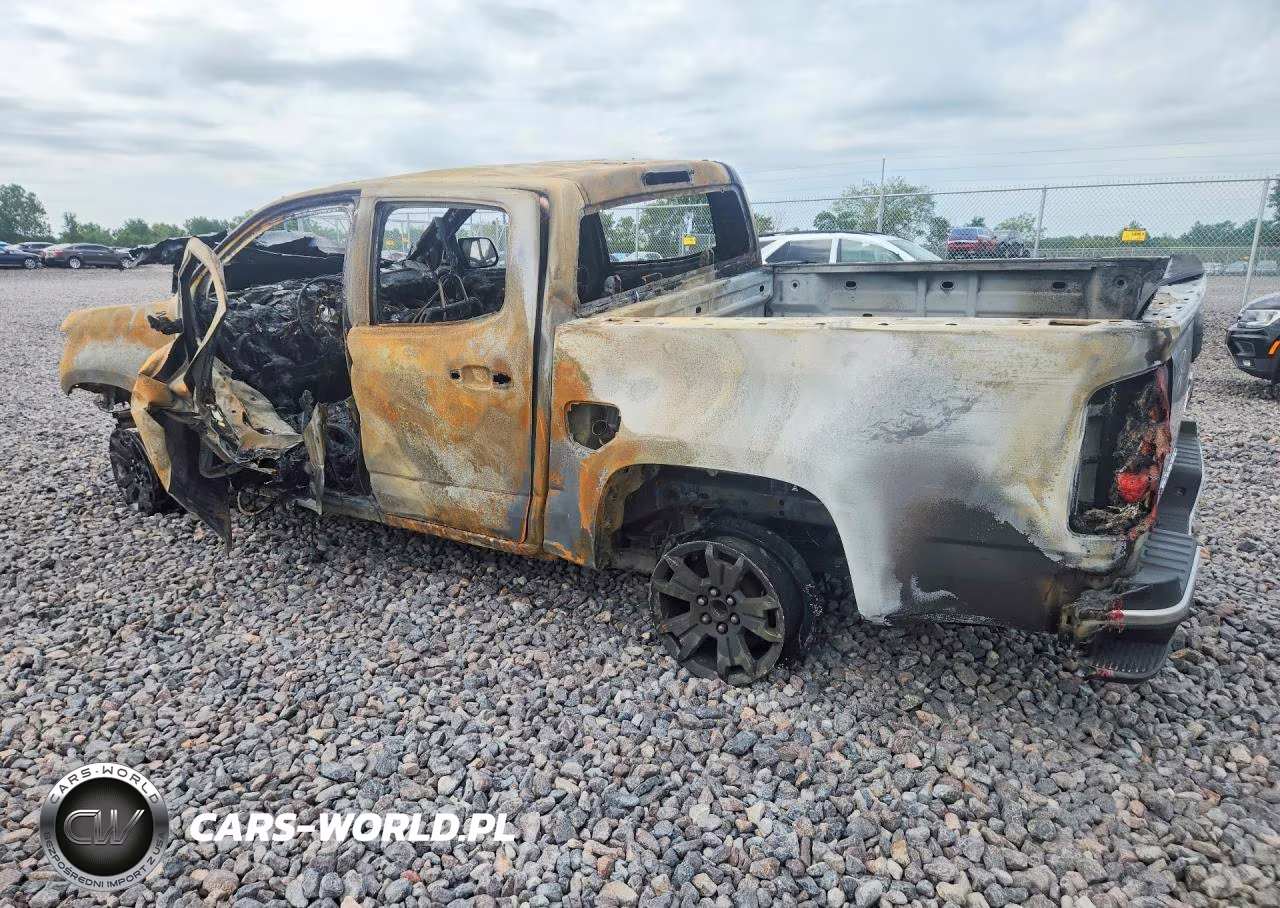 2019 Chevrolet Colorado Lt VIN:1GCGTCEN8K1301866 - 2