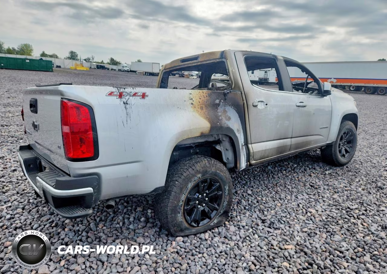 2019 Chevrolet Colorado Lt VIN:1GCGTCEN8K1301866 - 3