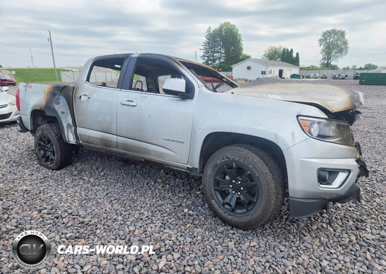2019 Chevrolet Colorado Lt VIN:1GCGTCEN8K1301866 - 4