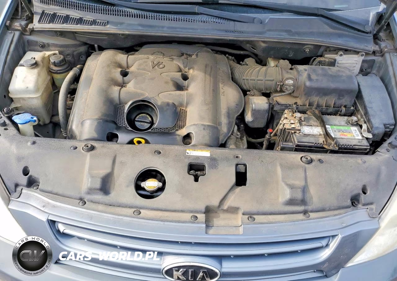 2009 Kia Sedona Lx VIN:KNDMB233X96273969 - 12