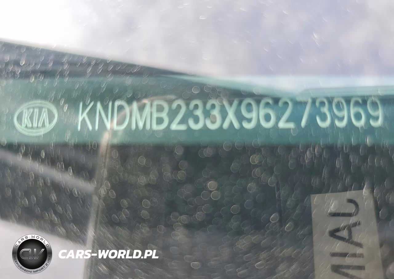 2009 Kia Sedona Lx VIN:KNDMB233X96273969 - 13