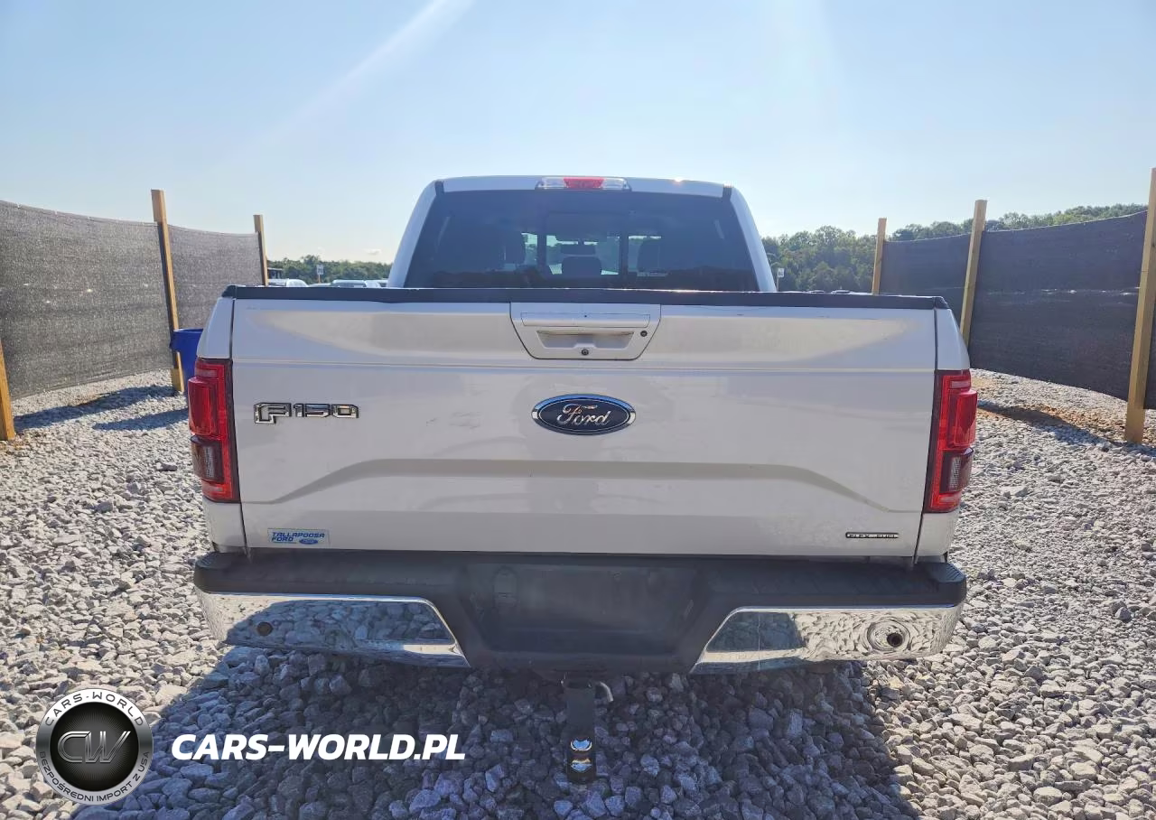 2016 Ford F150 Supercrew VIN:1FTEW1CFXGFD49619 - 6