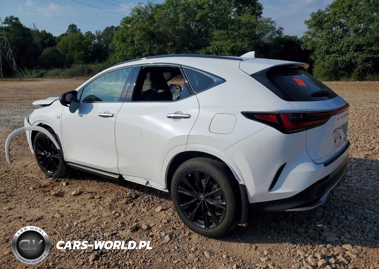 2024 Lexus Nx 350 F Sport Handling VIN:2T2KGCEZ1RC047985 - 2