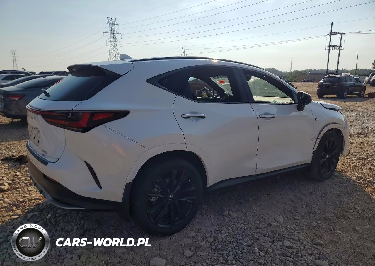 2024 Lexus Nx 350 F Sport Handling VIN:2T2KGCEZ1RC047985 - 3