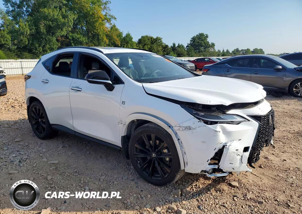 2024 Lexus Nx 350 F Sport Handling VIN:2T2KGCEZ1RC047985 - 4