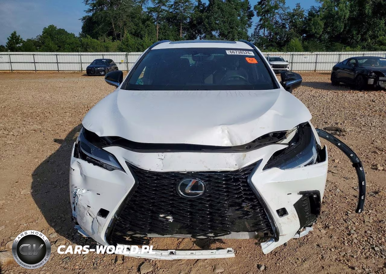 2024 Lexus Nx 350 F Sport Handling VIN:2T2KGCEZ1RC047985 - 5