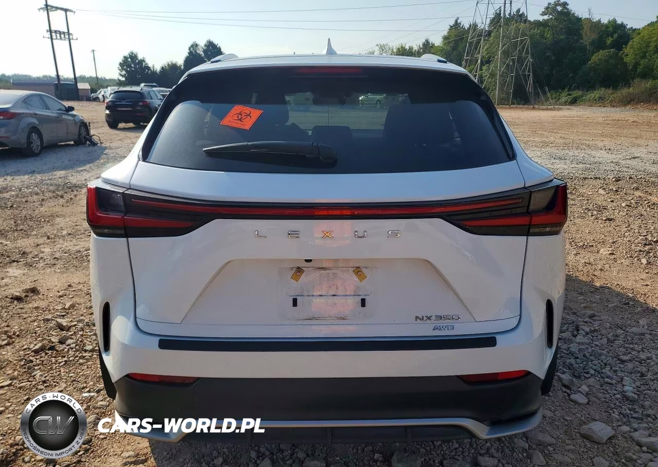 2024 Lexus Nx 350 F Sport Handling VIN:2T2KGCEZ1RC047985 - 6