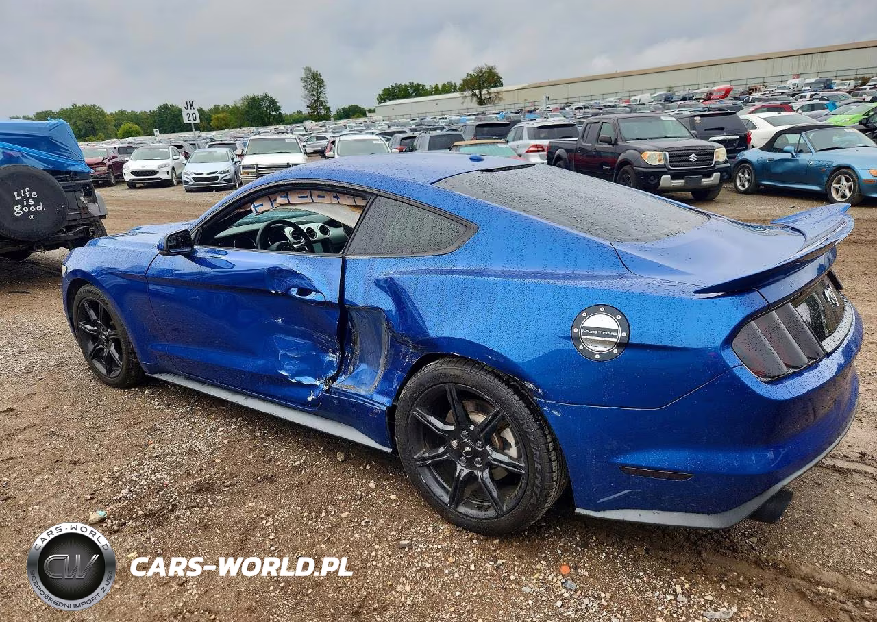 2017 Ford Mustang VIN:1FA6P8TH7H5226739 - 2