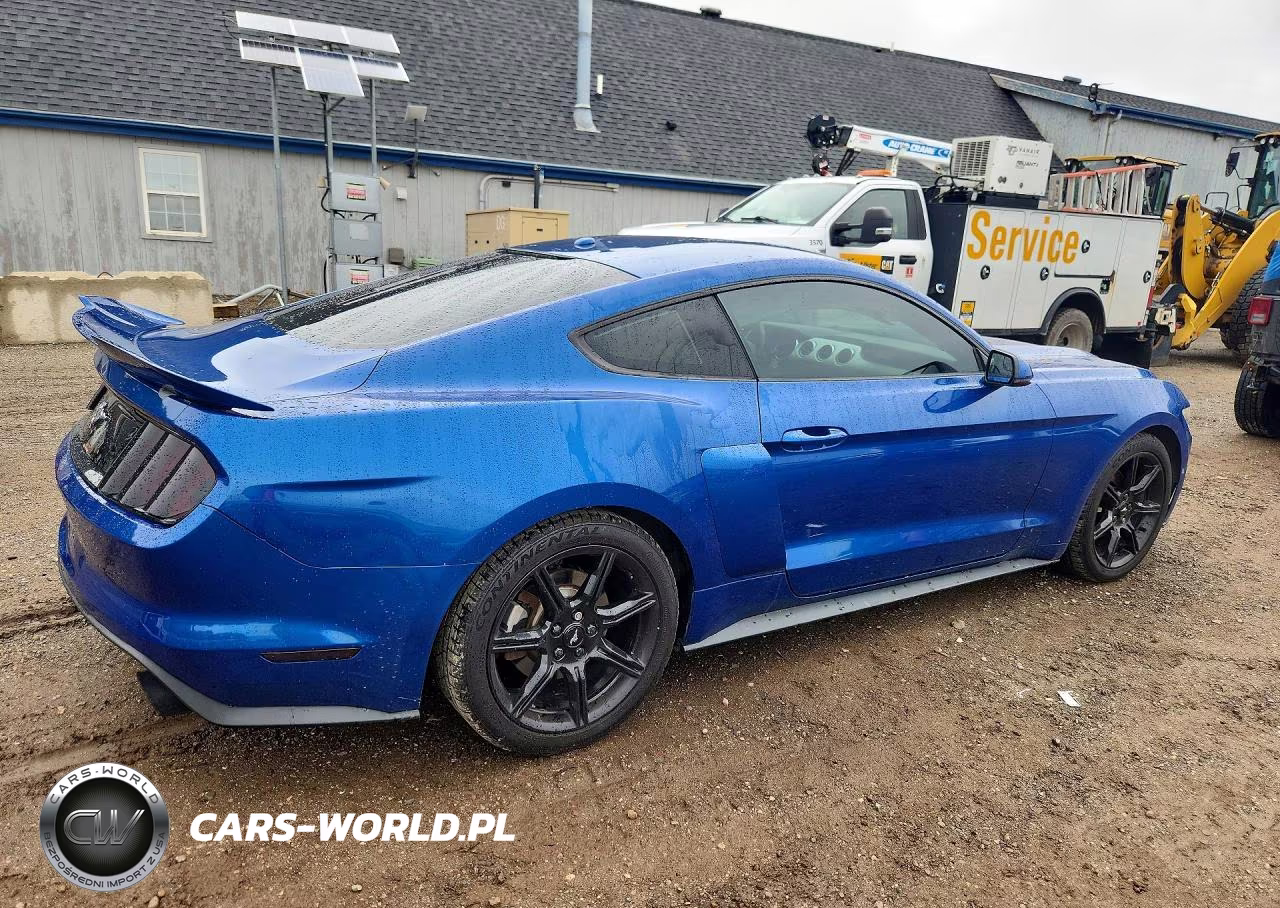 2017 Ford Mustang VIN:1FA6P8TH7H5226739 - 3