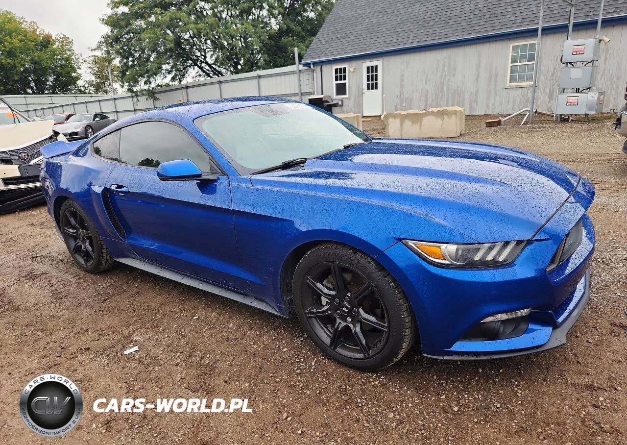 2017 Ford Mustang VIN:1FA6P8TH7H5226739 - 4