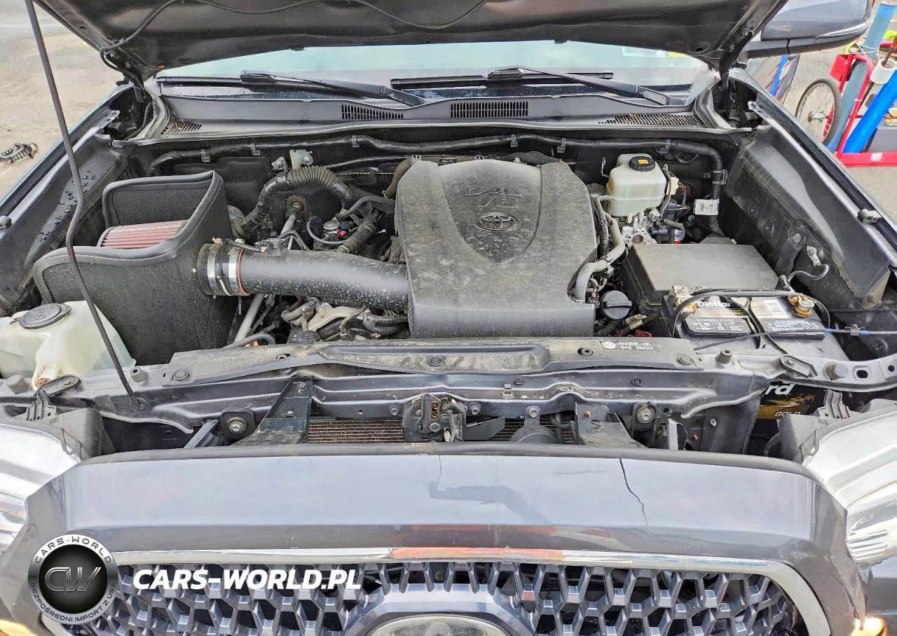 2019 Toyota Tacoma Trd Off-Road VIN:3TMDZ5BN0KM075388 - 11