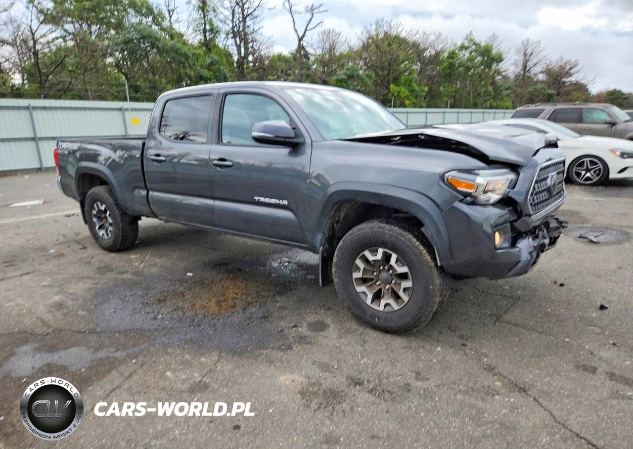 2019 Toyota Tacoma Trd Off-Road VIN:3TMDZ5BN0KM075388 - 4