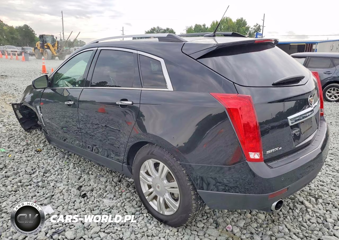 2010 Cadillac Srx Luxury Collection VIN:3GYFNDEY7AS598867 - 2