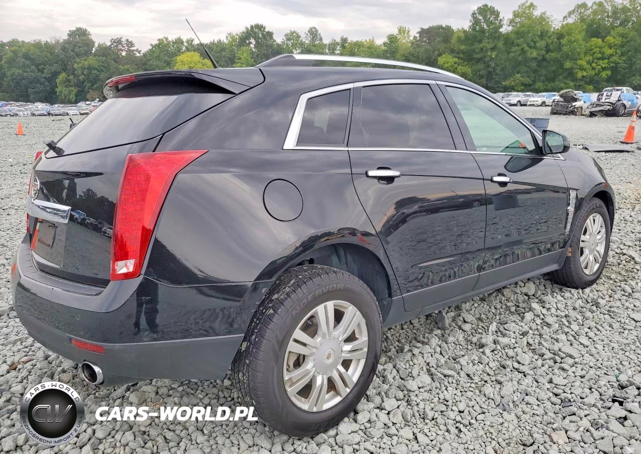 2010 Cadillac Srx Luxury Collection VIN:3GYFNDEY7AS598867 - 3
