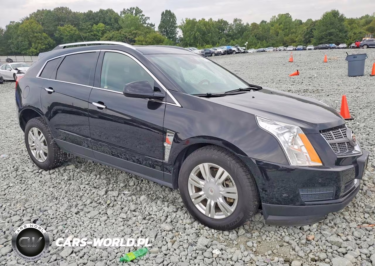 2010 Cadillac Srx Luxury Collection VIN:3GYFNDEY7AS598867 - 4