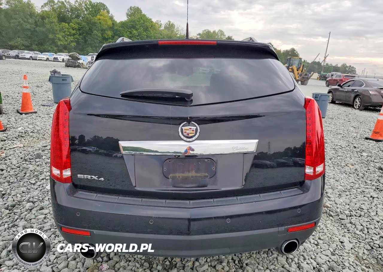 2010 Cadillac Srx Luxury Collection VIN:3GYFNDEY7AS598867 - 6