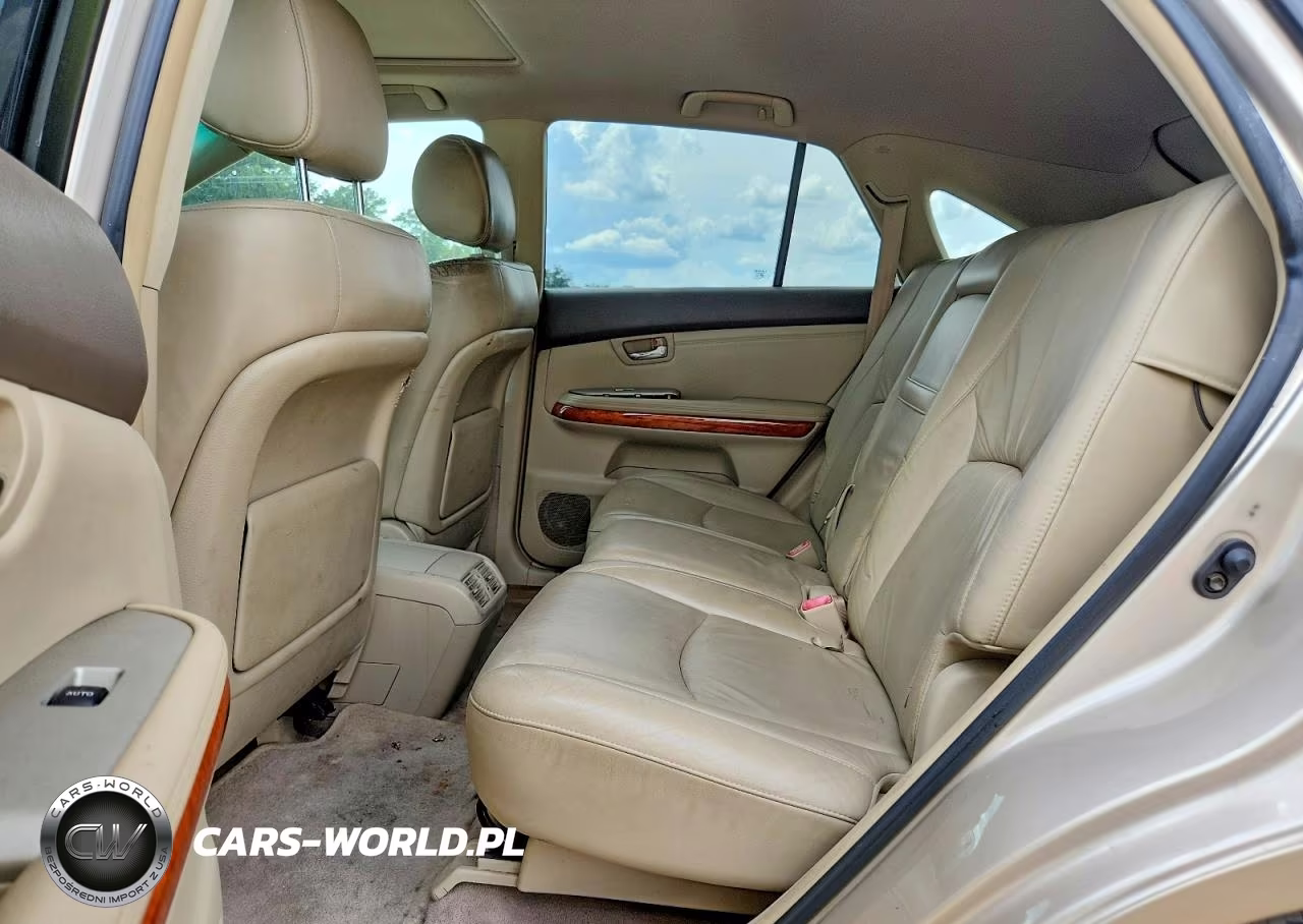 2004 Lexus Rx 330 VIN:2T2HA31U24C017747 - 10