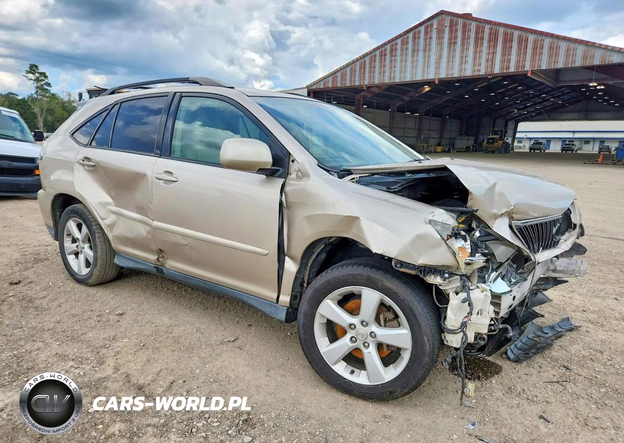 2004 Lexus Rx 330 VIN:2T2HA31U24C017747 - 4