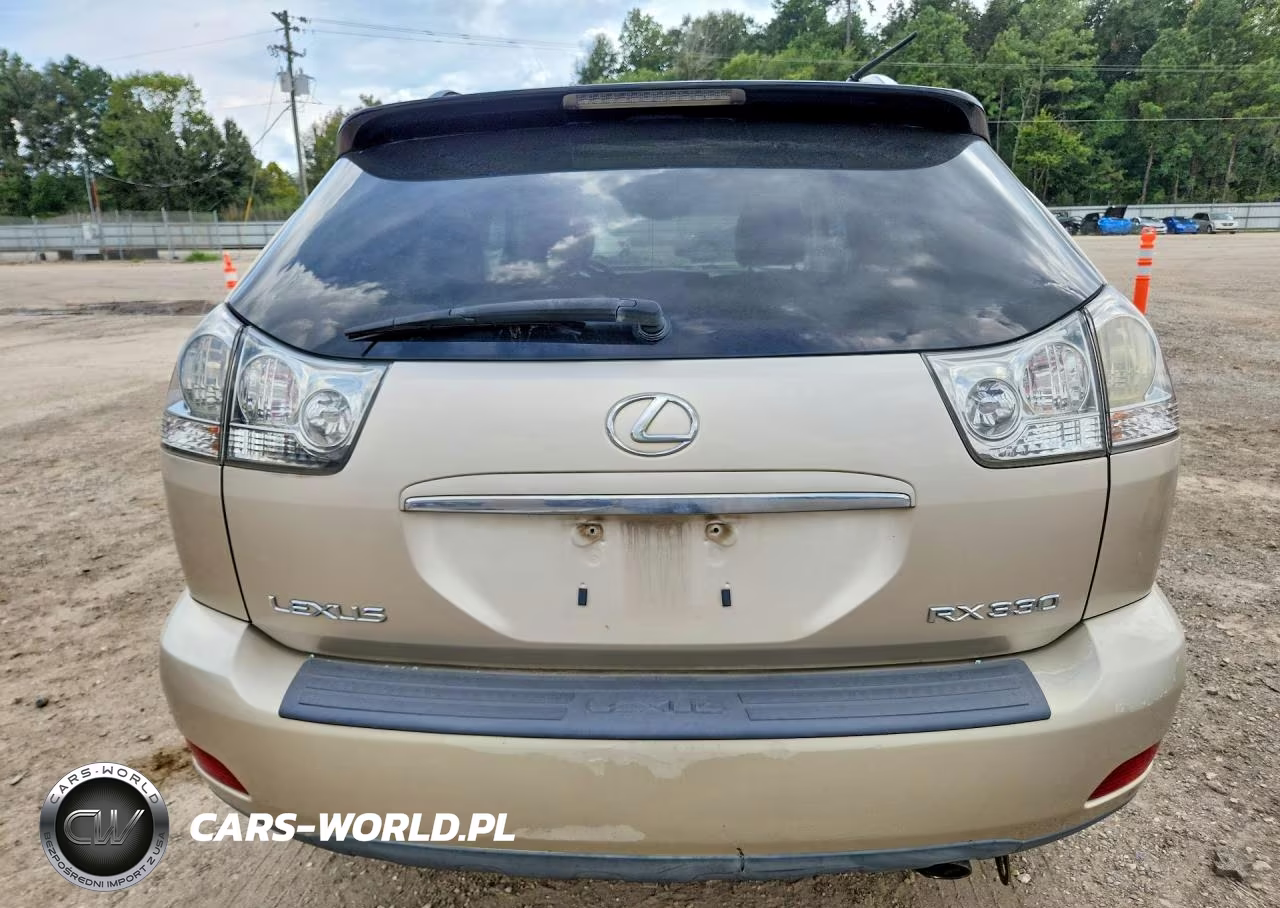 2004 Lexus Rx 330 VIN:2T2HA31U24C017747 - 6