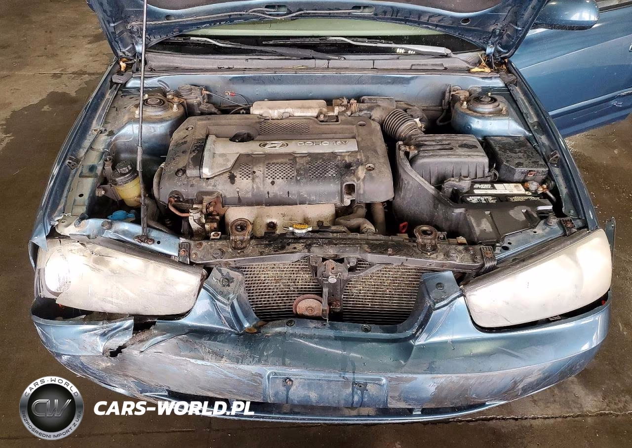 2003 Hyundai Elantra Gls VIN:KMHDN45D13U620497 - 11