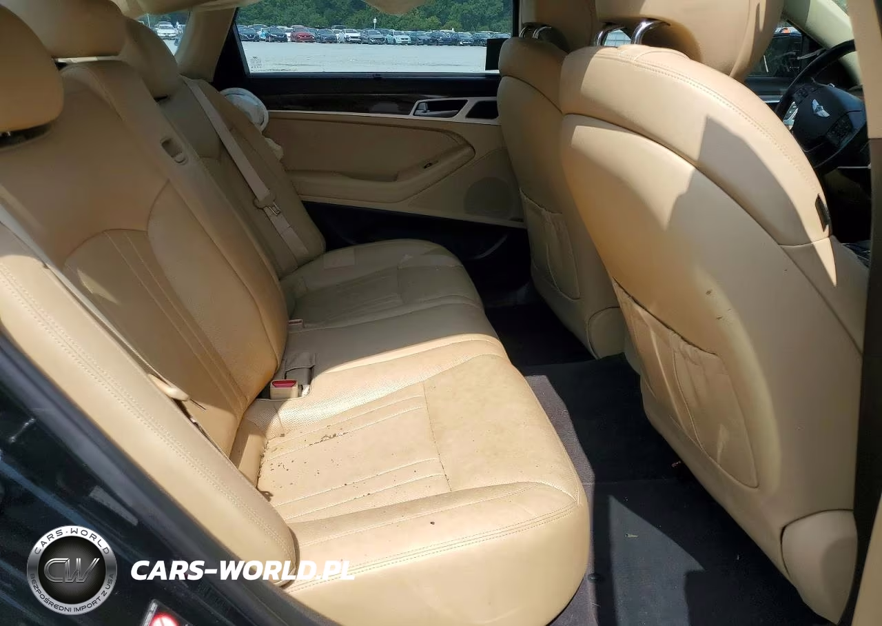 2016 Hyundai Genesis 3.8L VIN:KMHGN4JE6GU141770 - 10