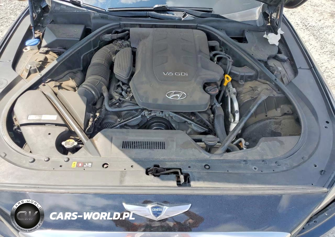 2016 Hyundai Genesis 3.8L VIN:KMHGN4JE6GU141770 - 11