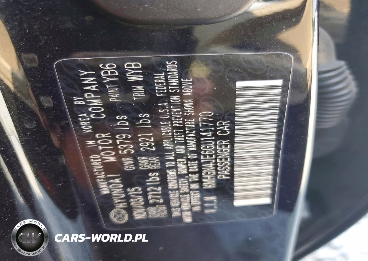 2016 Hyundai Genesis 3.8L VIN:KMHGN4JE6GU141770 - 12