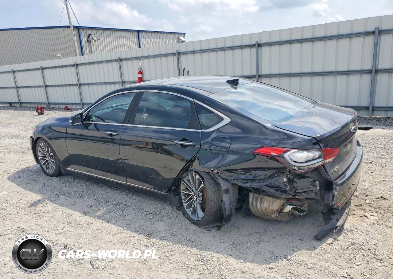 2016 Hyundai Genesis 3.8L VIN:KMHGN4JE6GU141770 - 2