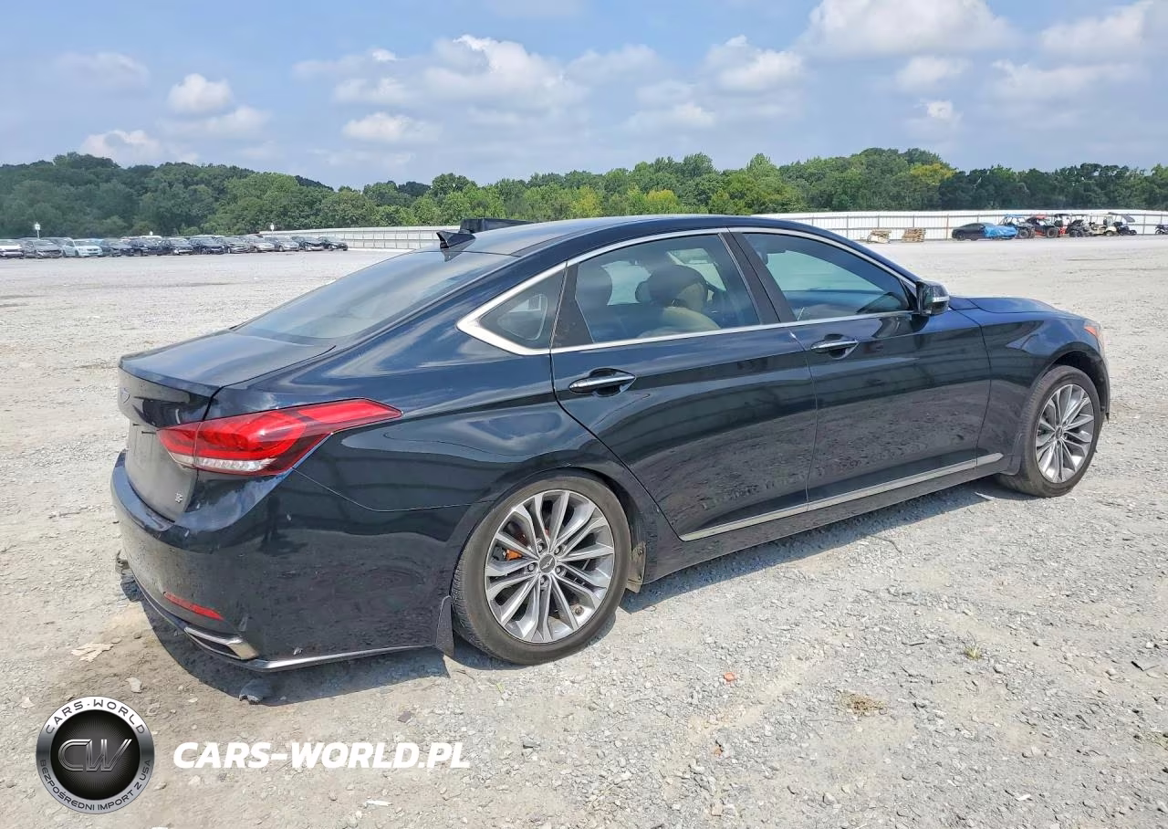 2016 Hyundai Genesis 3.8L VIN:KMHGN4JE6GU141770 - 3