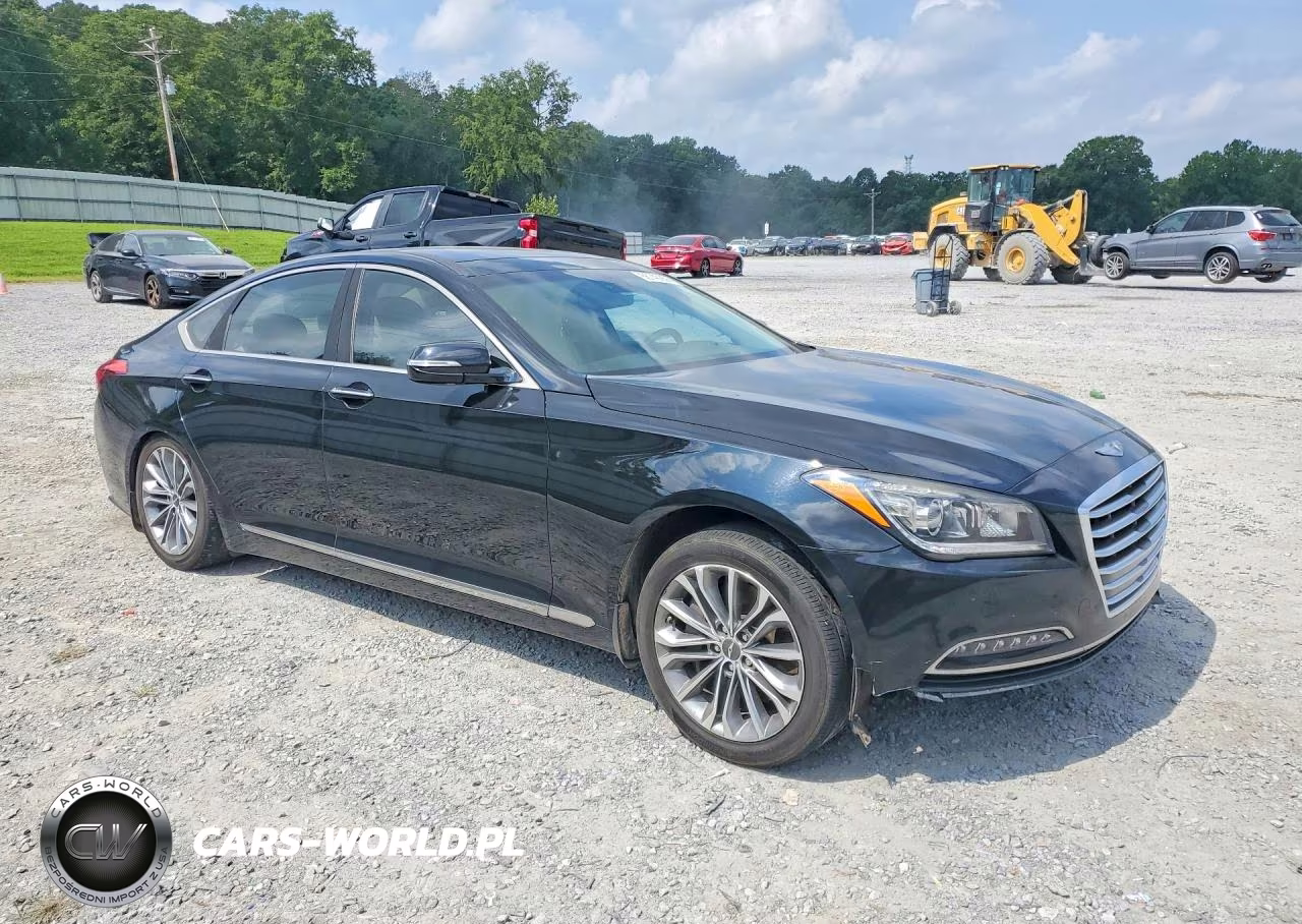 2016 Hyundai Genesis 3.8L VIN:KMHGN4JE6GU141770 - 4