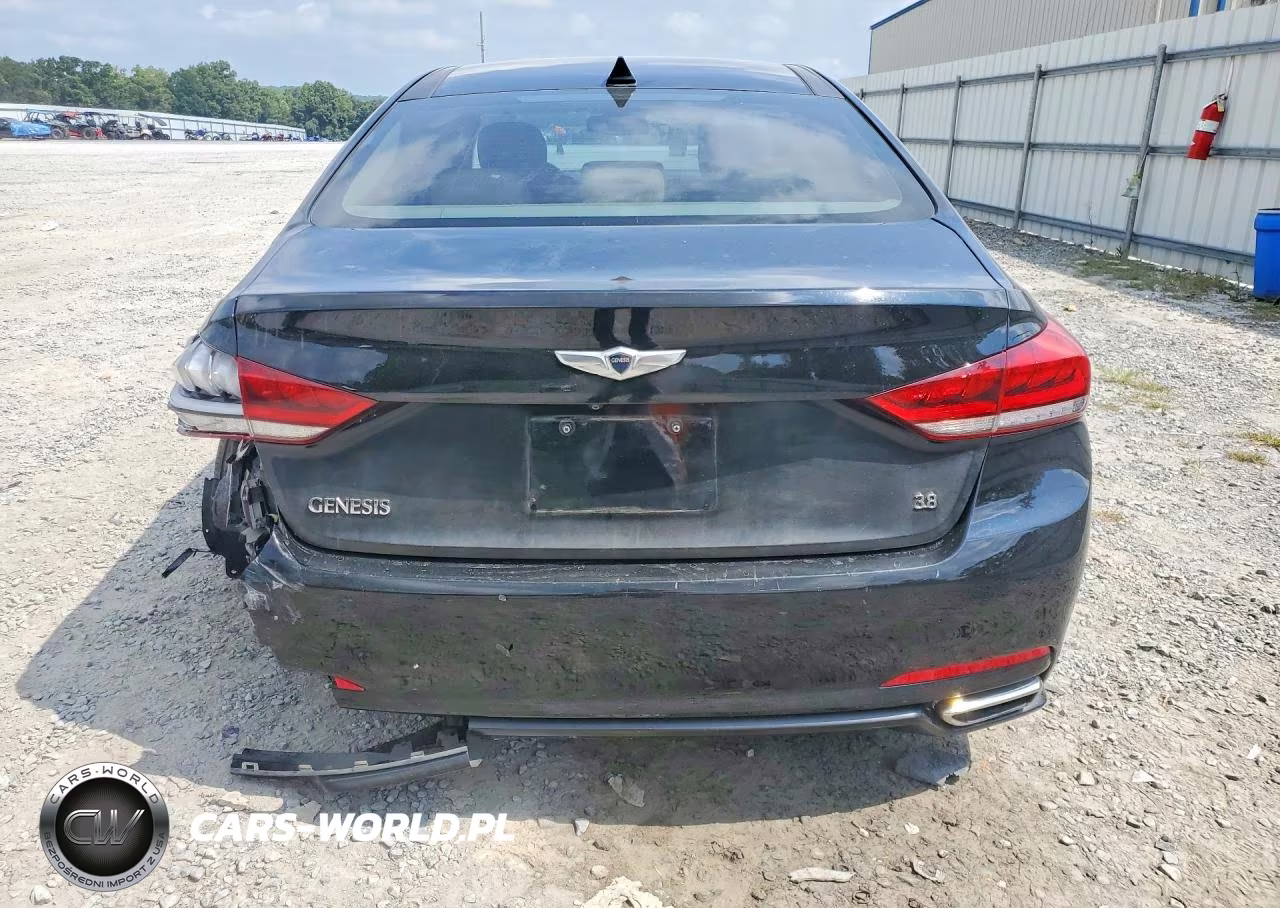 2016 Hyundai Genesis 3.8L VIN:KMHGN4JE6GU141770 - 6