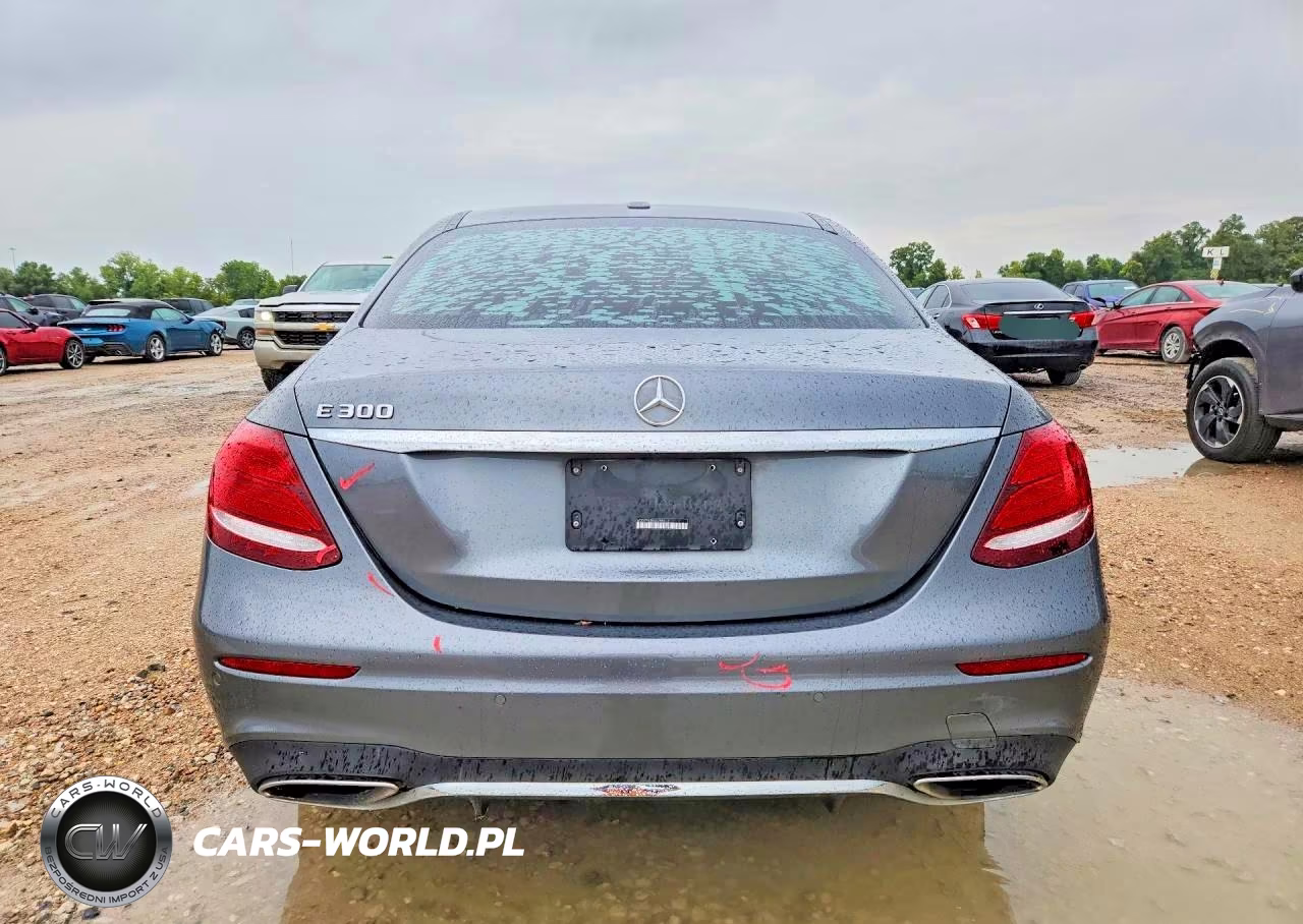2018 Mercedes-Benz E 300 VIN:WDDZF4JB8JA388013 - 6
