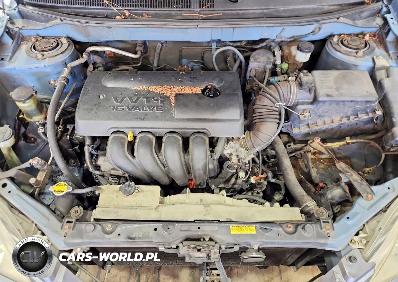 2003 Toyota Corolla Matrix Xr VIN:2T1KR32E63C005089 - 11
