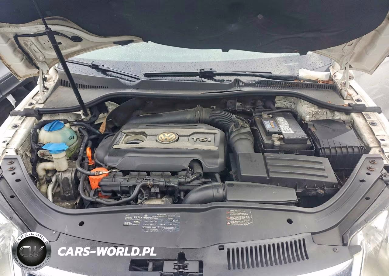 2009 Volkswagen Eos Turbo VIN:WVWBA71FX9V012447 - 11