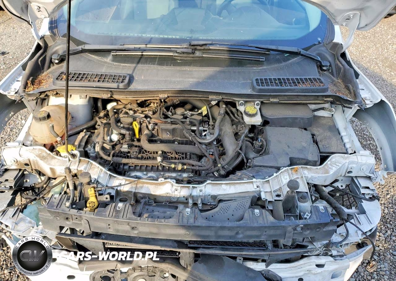 2019 Ford Escape Se VIN:1FMCU9GD4KUB64163 - 12