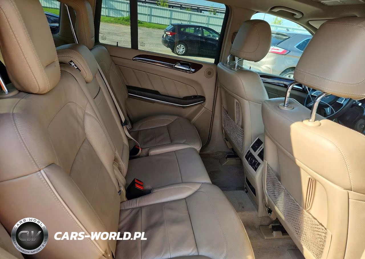2014 Mercedes-Benz Gl 350 Bluetec VIN:4JGDF2EE2EA313144 - 11